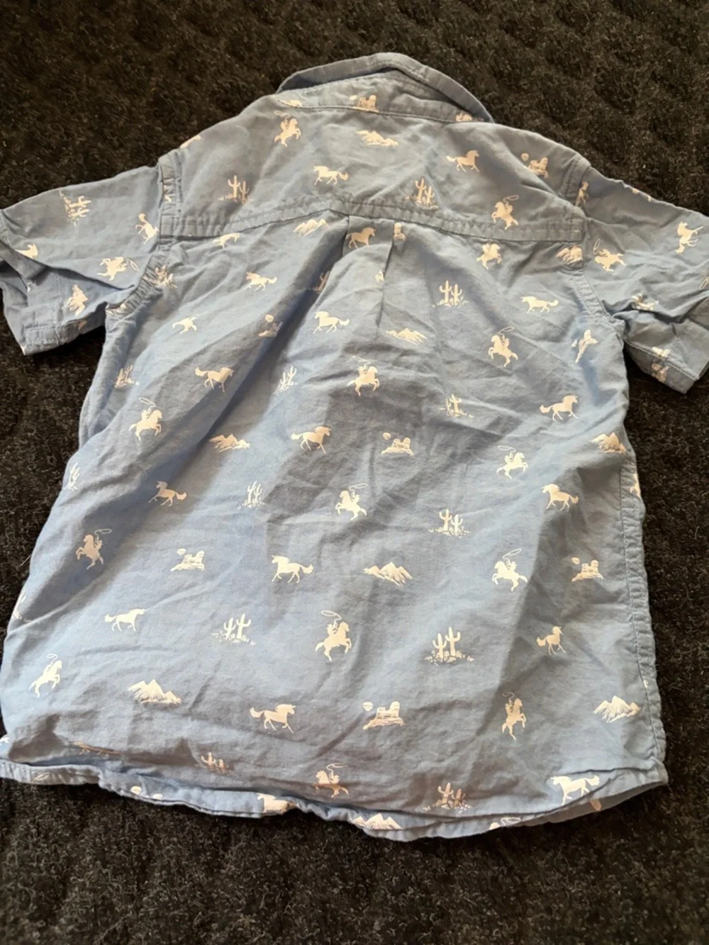Boys Hawaiian Shirt And Shorts Lot The children’s place Tommy Bahama 4T